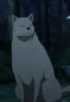Inu