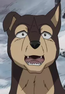 Shingo