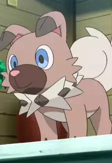 Satoshi's Iwanko