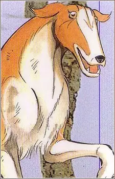 Rocket