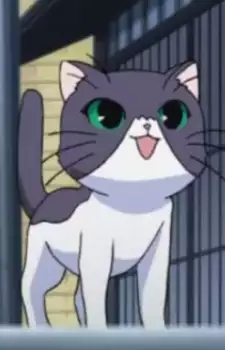 komasa
