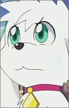 Roco