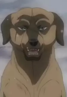 Buruge