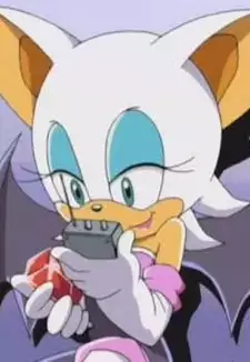 Rouge The Bat