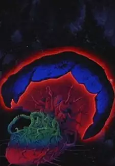 Makaiju