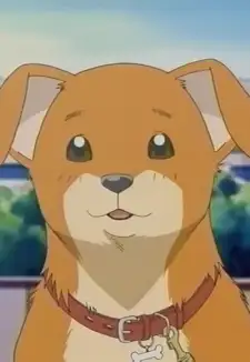 Mametarou