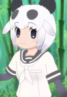 Giant Panda