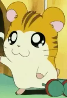 Torahamu-kun