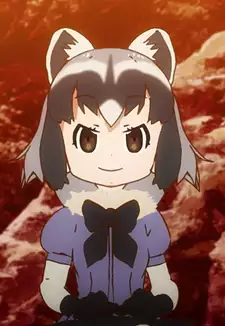 Common Raccoon