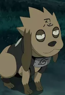 Bisuke