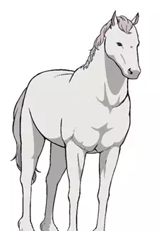 Uma