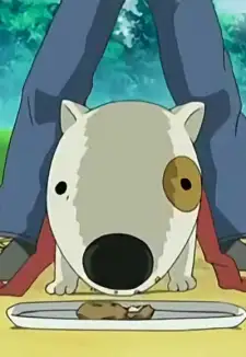 Burumaru