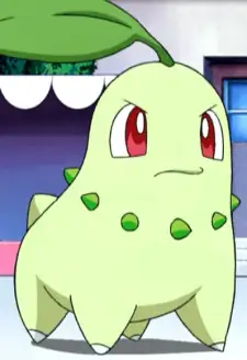 Chikorita