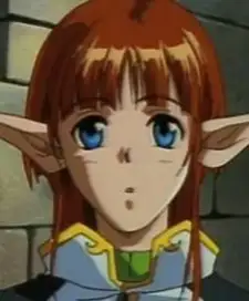 Hide