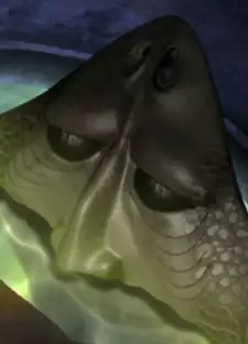 Human Face Fish