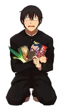 Nori Kamitsuki