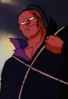 Ryuuseiken Hogan