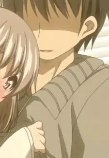 Sensei