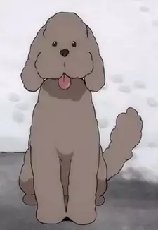 Makkachin