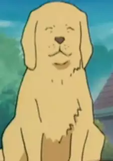 Rena's Dog