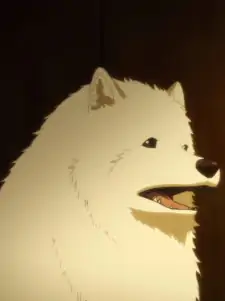 Riku