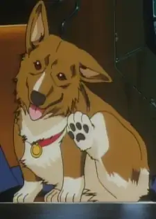 Ein