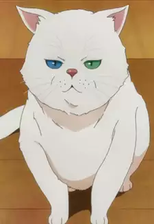 Pepe-chan