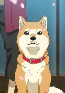 Nira